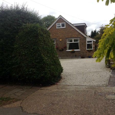 Number Forty One Bed and Breakfast Hillingdon Exteriör bild