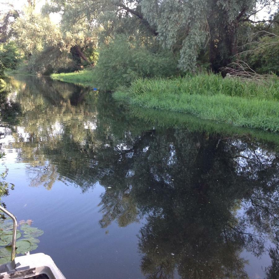 Number Forty One Bed and Breakfast Hillingdon Exteriör bild